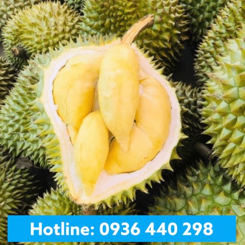 Hương sầu riêng - Durian Flavor